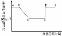 ߿Դ(ks5u.com),й****ĸ߿վ,ߵĸ߿****