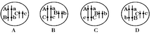 ߿Դ(ks5u.com),й****ĸ߿վ,ߵĸ߿****