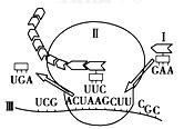 ߿Դ(ks5u.com),й****ĸ߿վ,ߵĸ߿****